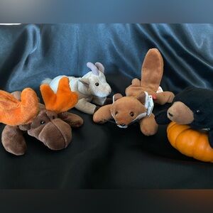 Mountain Beanie Babies